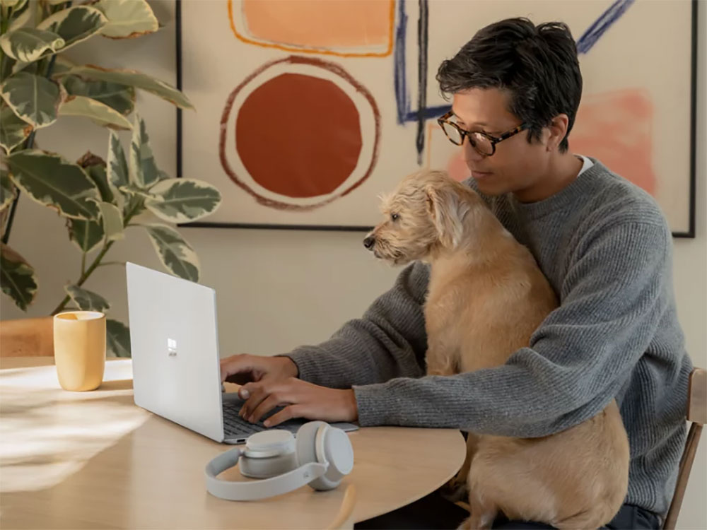 Microsoft 365 与 Office 2021：差别在哪里？ 该选哪一种？ （同场加映：免费替代方案） - 榜哥