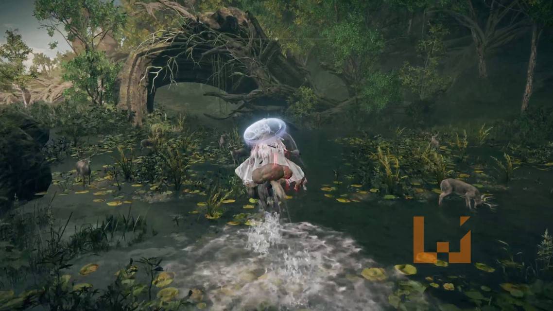 《ELDEN RING》DLC「黄金树幽影」评测：褪色者们，动身前往幽影之地追随米凯拉的足迹吧！